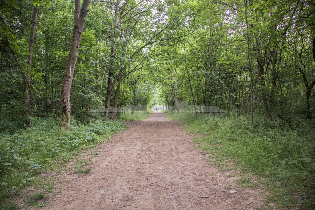 Parco Nord - Milano